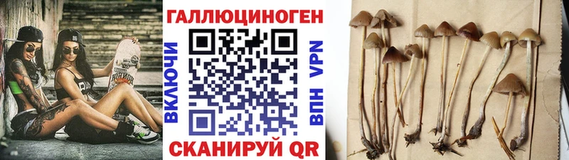 Псилоцибиновые грибы мицелий  мега   Кулебаки 