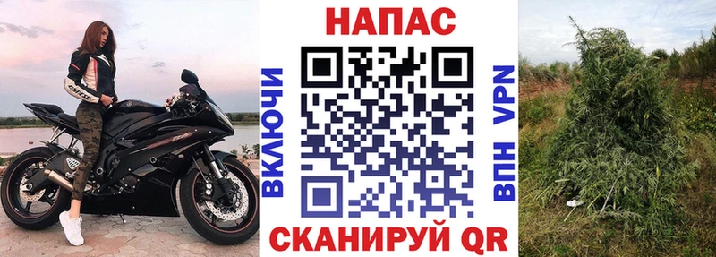 Марихуана планчик  Кулебаки 